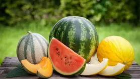 با هندوانه، خربزه، طالبی و عسل چه میوه ای نباید بخورید؟