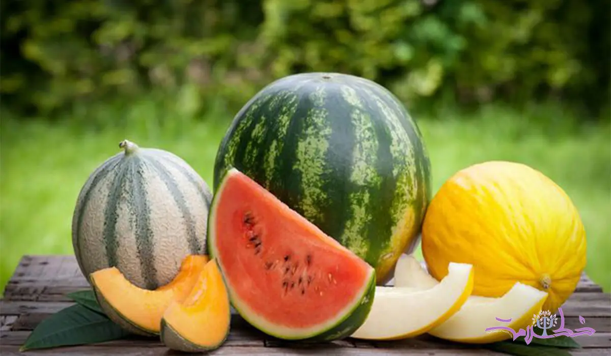 با هندوانه، خربزه، طالبی و عسل چه میوه ای نباید بخورید؟