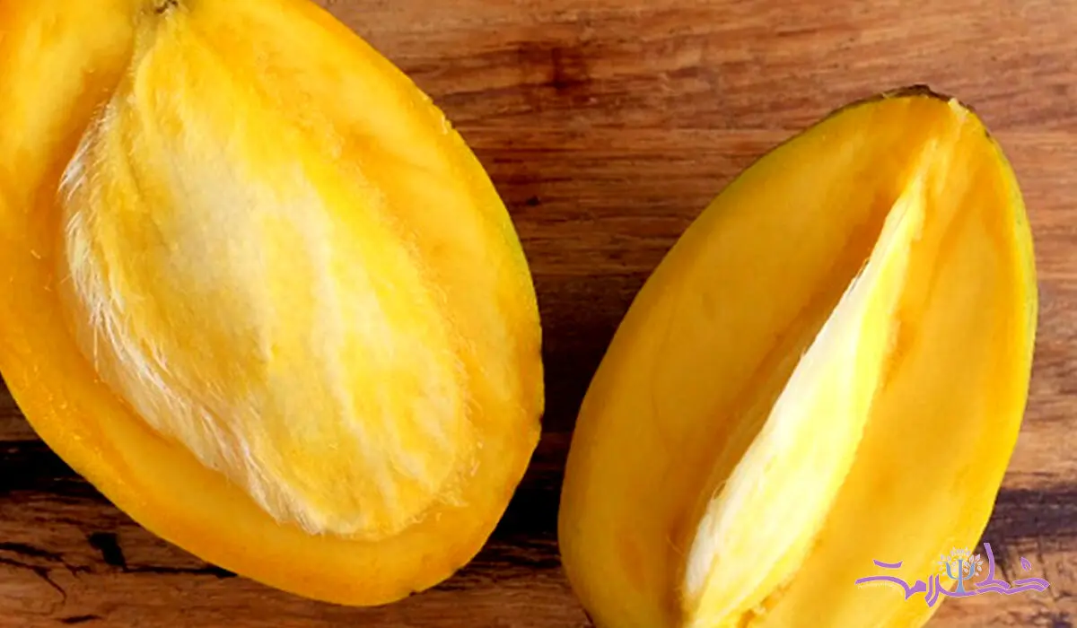 خواص روغن هسته انبه فوق العاده است