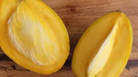 خواص روغن هسته انبه فوق العاده است