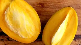 خواص روغن هسته انبه فوق العاده است