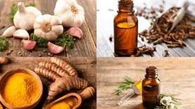 این آنتی بیوتیک‌های طبیعی را به رژیم غذایی خود اضافه کنید