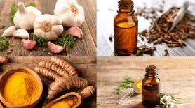 این آنتی بیوتیک‌های طبیعی را به رژیم غذایی خود اضافه کنید