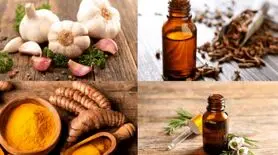 این آنتی بیوتیک‌های طبیعی را به رژیم غذایی خود اضافه کنید