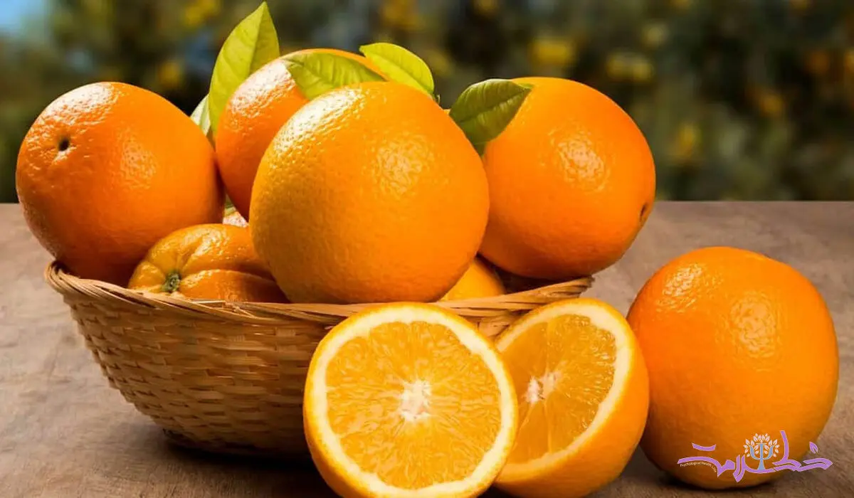 این نارنجی پائیزی دوست روان شماست