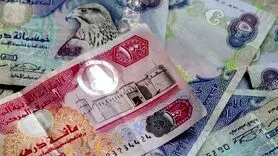نرخ درهم امارات امروز ۹ بهمن ۱۴۰۳ چند؟ : تغییرات مهم بازار