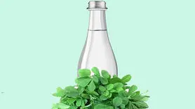 خواص عرق یونجه برای کاهش چاقی