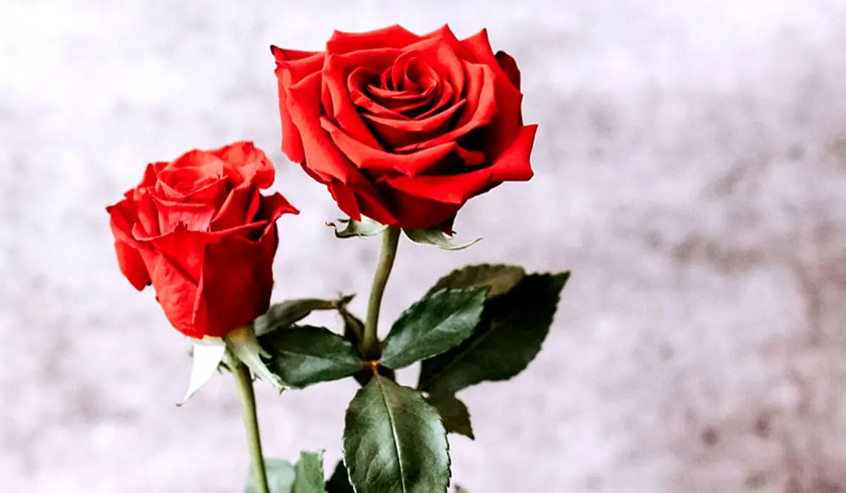 نیاز های زنان برای داشتن یک زندگی جنسی شاد و سالم
