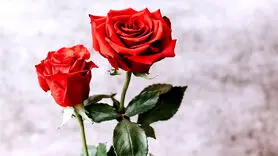 نیاز های زنان برای داشتن یک زندگی جنسی شاد و سالم