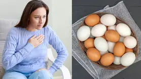 آیا خوردن تخم‌مرغ باعث افزایش کلسترول خون می‌شود؟
