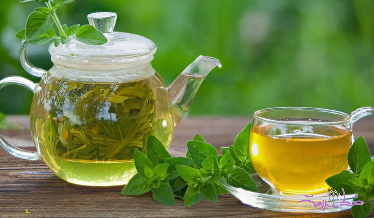 مؤثرترین و بهترین گیاهان دارویی برای تقویت حافظه 