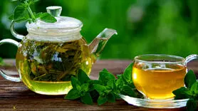 مؤثرترین و بهترین گیاهان دارویی برای تقویت حافظه 