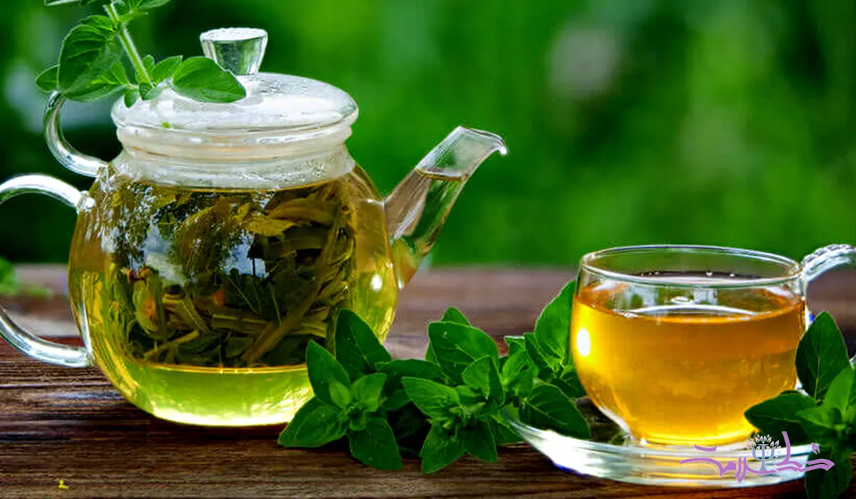 مؤثرترین و بهترین گیاهان دارویی برای تقویت حافظه 