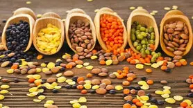 خواص عدس: ۹ خاصیت شگفت انگیز علمی