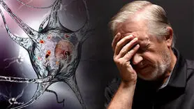 آلزایمر و زوال عقل دیررس چه تفاوتی دارد؟