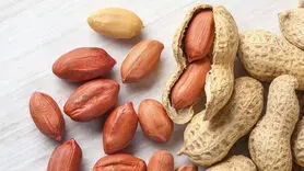 بادام زمینی با پوست مفیدتر است یا بدون پوست؟