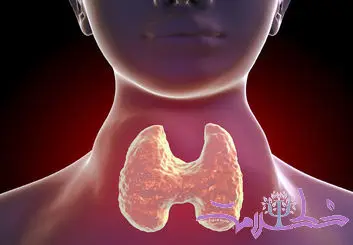 تیروئید چیست و چگونه روی مغز، قلب و خلق‌وخو تأثیر می‌گذارد؟