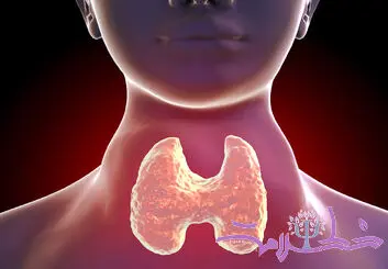 تیروئید چیست و چگونه روی مغز، قلب و خلق‌وخو تأثیر می‌گذارد؟