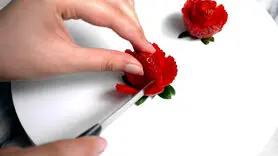 فیلم/ روش تهیه گل های جذاب با توت فرنگی