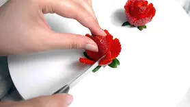 فیلم/ روش تهیه گل های جذاب با توت فرنگی