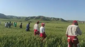 پیدا شدن جسد دختر گمشده پس از دو سال؛ دست و پا بسته در مکانی مرموز