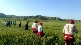 پیدا شدن جسد دختر گمشده پس از دو سال؛ دست و پا بسته در مکانی مرموز
