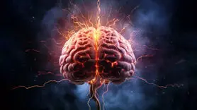 عوارض تب دنگی روی مغز وحشت زده تان می کند