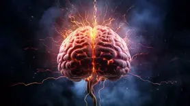 عوارض تب دنگی روی مغز وحشت زده تان می کند