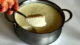 فیلم / ماست بازاری نخرید؛ با طرز تهیه آسان و سریع در خانه ماست درست کنید
