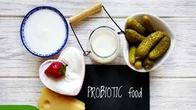 8 پروبیوتیک برتر برای سلامت روده