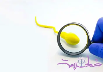 قحطی اسپرم‌ در جهان؛ آیا باروری انسان در خطر است؟