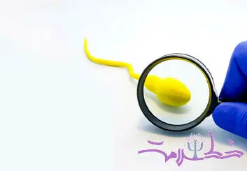 قحطی اسپرم‌ در جهان؛ آیا باروری انسان در خطر است؟