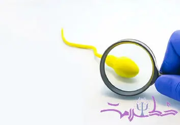 قحطی اسپرم‌ در جهان؛ آیا باروری انسان در خطر است؟