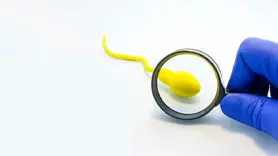 قحطی اسپرم در جهان؛ آیا باروری انسان در خطر است؟