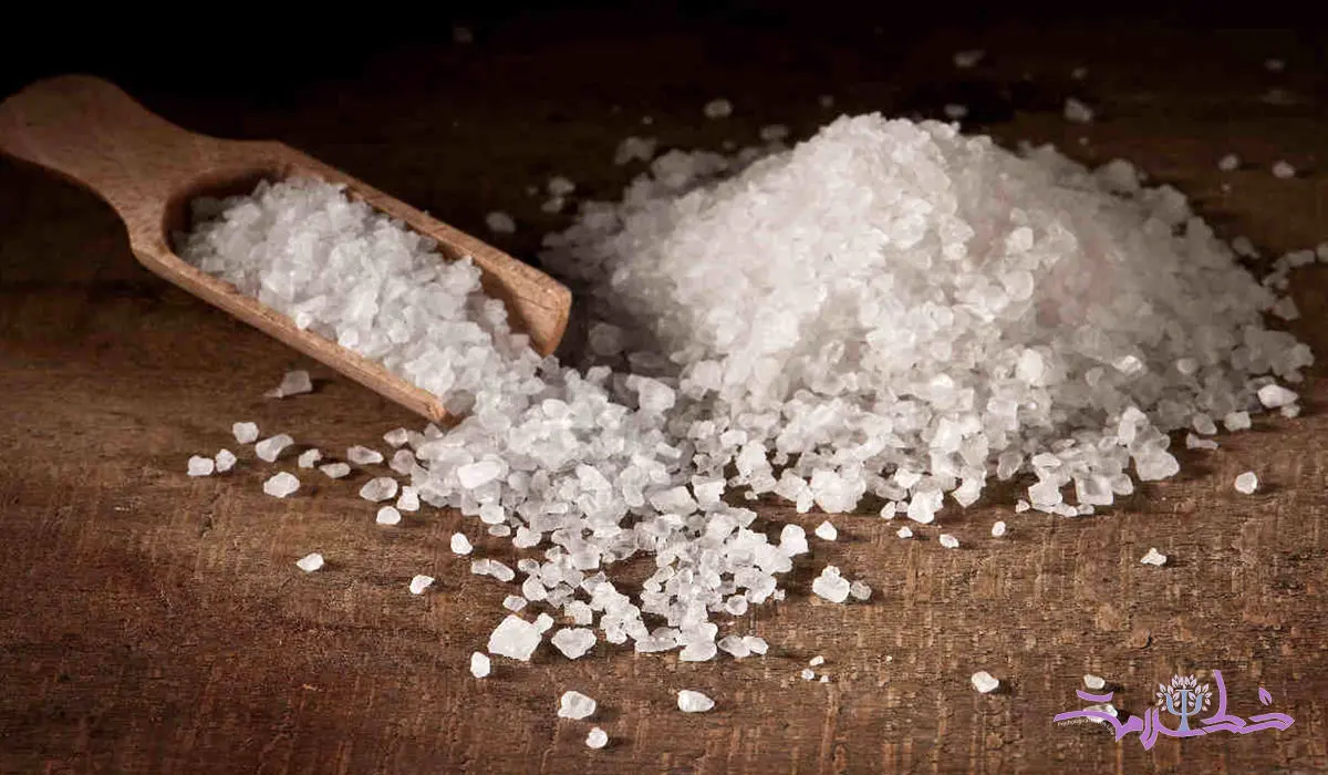 آیا مغز شما نمک دوست است؟+ دانشمندان علت را فاش کردند