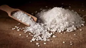 آیا مغز شما نمک دوست است؟+ دانشمندان علت را فاش کردند