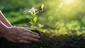 چگونه امید می‌تواند زندگی شما را با معنا و هدف پر کند؟