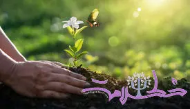 چگونه امید می‌تواند زندگی شما را با معنا و هدف پر کند؟