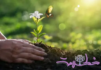 چگونه امید می‌تواند زندگی شما را با معنا و هدف پر کند؟