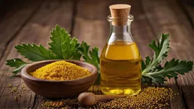 روغن خردل دوست سلامتی است یا یا دشمن آن ؟