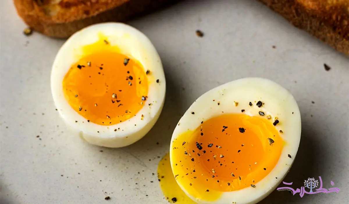 تخم مرغ مشکلات معده را شدید می کند؟ + 7 فایده تخم مرغ 