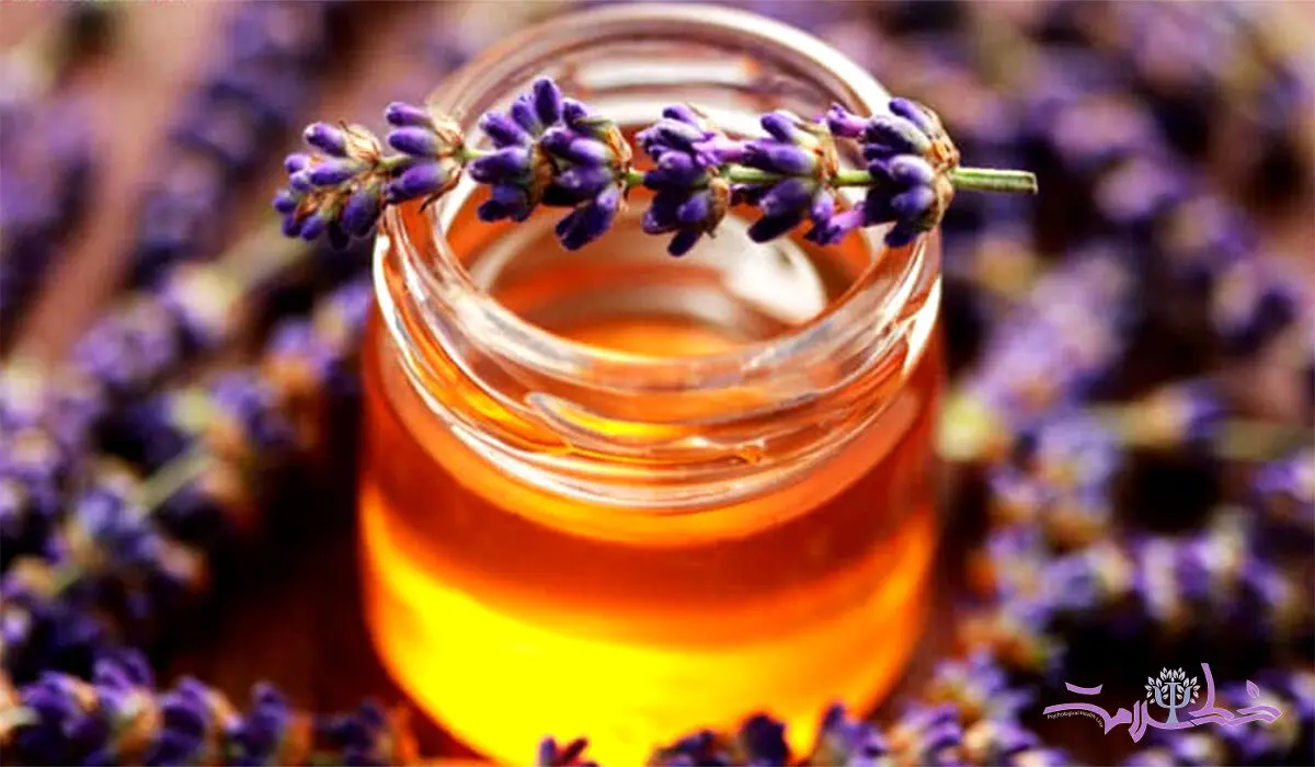 چگونه مرهم عسل و اسطوخودوس به درمان سوختگی کمک می کند؟