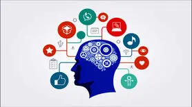 چگونه صحبت کردن به چند زبان مغز را تغییر می‌دهد؟