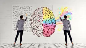 تست شخصیت شناسی/ در 5 ثانیه متوجه شوید خلاق هستید یا تحلیل گر و منطقی + فیلم