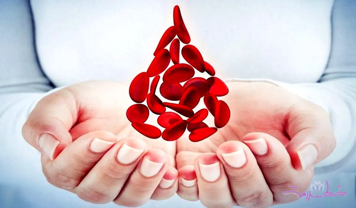 کم خونی را با این نوشیدنی‌ها جبران کنید/ ۶ نوشیدنی خون ساز