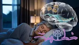 خواب و آلزایمر؛ آیا مغز هنگام خواب خودش را پاک سازی می کند؟