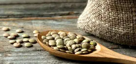 خواص عدس گنجینه ای در سفره ایرانیان + انواع عدس