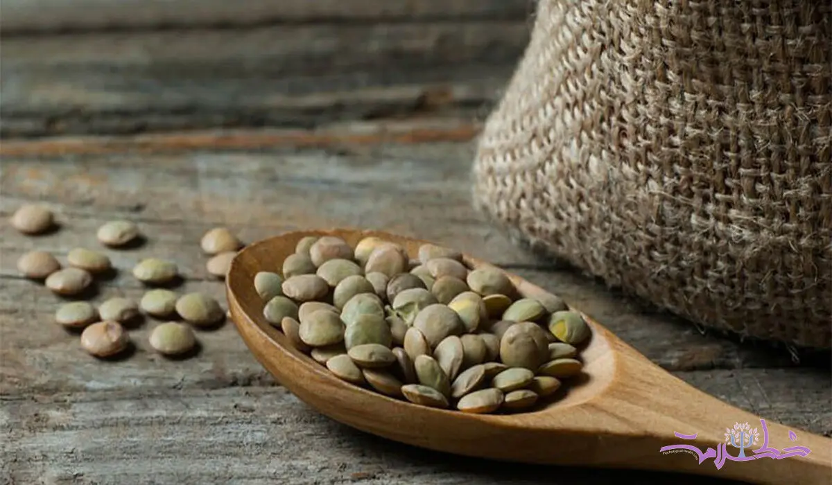خواص عدس گنجینه ای در سفره ایرانیان + انواع عدس
