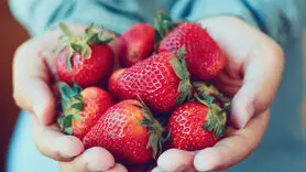 خواص شگفت انگیز توت فرنگی برای معده 
