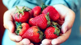 خواص شگفت انگیز توت فرنگی برای معده 
